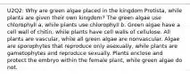 U2Q2: Why are green algae placed in the kingdom Protista, while plants are given their own kingdom? The green algae use chlorophyll a , while plants use chlorophyll b . Green algae have a cell wall of chitin, while plants have cell walls of cellulose. All plants are vascular, while all green algae are nonvascular. Algae are sporophytes that reproduce only asexually, while plants are gametophytes and reproduce sexually. Plants enclose and protect the embryo within the female plant, while green algae do not.