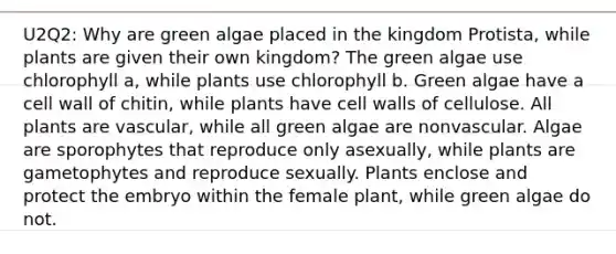 U2Q2: Why are green algae placed in the kingdom Protista, while plants are given their own kingdom? The green algae use chlorophyll a , while plants use chlorophyll b . Green algae have a cell wall of chitin, while plants have cell walls of cellulose. All plants are vascular, while all green algae are nonvascular. Algae are sporophytes that reproduce only asexually, while plants are gametophytes and reproduce sexually. Plants enclose and protect the embryo within the female plant, while green algae do not.