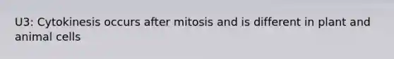 U3: Cytokinesis occurs after mitosis and is different in plant and animal cells