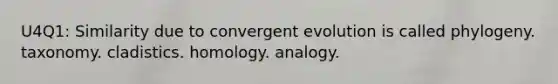 U4Q1: Similarity due to convergent evolution is called phylogeny. taxonomy. cladistics. homology. analogy.