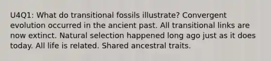 U4Q1: What do transitional fossils illustrate? Convergent evolution occurred in the ancient past. All transitional links are now extinct. Natural selection happened long ago just as it does today. All life is related. Shared ancestral traits.