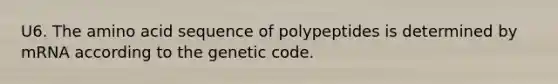 U6. The amino acid sequence of polypeptides is determined by mRNA according to the genetic code.