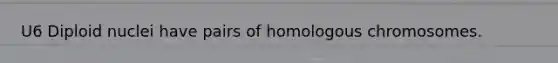 U6 Diploid nuclei have pairs of homologous chromosomes.