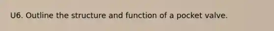 U6. Outline the structure and function of a pocket valve.
