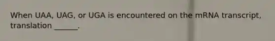 When UAA, UAG, or UGA is encountered on the mRNA transcript, translation ______.