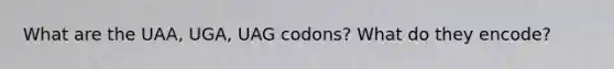 What are the UAA, UGA, UAG codons? What do they encode?