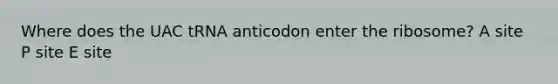 Where does the UAC tRNA anticodon enter the ribosome? A site P site E site