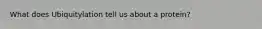 What does Ubiquitylation tell us about a protein?