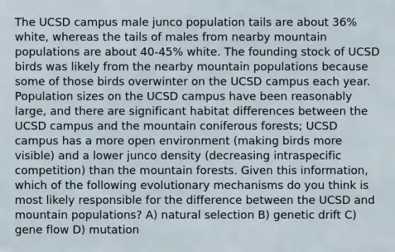 The UCSD campus male junco population tails are about 36% white, whereas the tails of males from nearby mountain populations are about 40-45% white. The founding stock of UCSD birds was likely from the nearby mountain populations because some of those birds overwinter on the UCSD campus each year. Population sizes on the UCSD campus have been reasonably large, and there are significant habitat differences between the UCSD campus and the mountain coniferous forests; UCSD campus has a more open environment (making birds more visible) and a lower junco density (decreasing intraspecific competition) than the mountain forests. Given this information, which of the following evolutionary mechanisms do you think is most likely responsible for the difference between the UCSD and mountain populations? A) natural selection B) genetic drift C) gene flow D) mutation