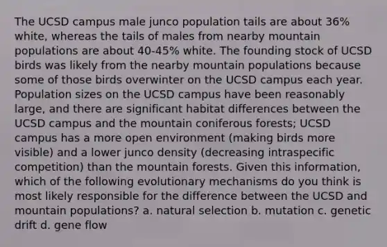 The UCSD campus male junco population tails are about 36% white, whereas the tails of males from nearby mountain populations are about 40-45% white. The founding stock of UCSD birds was likely from the nearby mountain populations because some of those birds overwinter on the UCSD campus each year. Population sizes on the UCSD campus have been reasonably large, and there are significant habitat differences between the UCSD campus and the mountain coniferous forests; UCSD campus has a more open environment (making birds more visible) and a lower junco density (decreasing intraspecific competition) than the mountain forests. Given this information, which of the following evolutionary mechanisms do you think is most likely responsible for the difference between the UCSD and mountain populations? a. natural selection b. mutation c. genetic drift d. gene flow