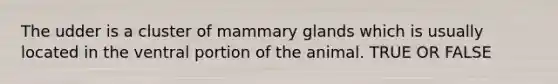 The udder is a cluster of mammary glands which is usually located in the ventral portion of the animal. TRUE OR FALSE