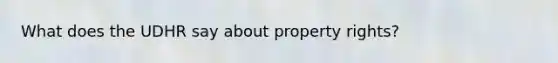 What does the UDHR say about property rights?