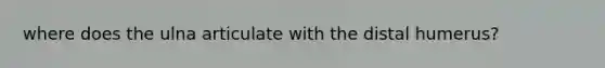 where does the ulna articulate with the distal humerus?