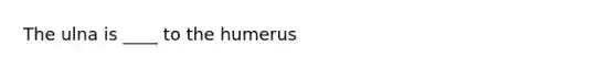 The ulna is ____ to the humerus