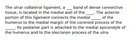 The ulnar collateral ligament, a ___ band of dense connective tissue, is located in the medial wall of the ____. The anterior portion of this ligament connects the medial _____ of the humerus to the medial margin of the coronoid process of the _____. Its posterior part is attached to the medial epicondyle of the humerus and to the olecranon process of the ulna