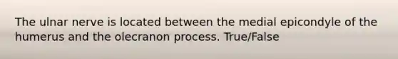 The ulnar nerve is located between the medial epicondyle of the humerus and the olecranon process. True/False