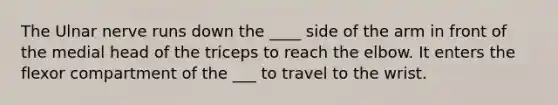 The Ulnar nerve runs down the ____ side of the arm in front of the medial head of the triceps to reach the elbow. It enters the flexor compartment of the ___ to travel to the wrist.