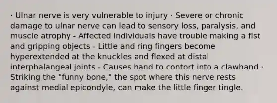 · Ulnar nerve is very vulnerable to injury · Severe or chronic damage to ulnar nerve can lead to sensory loss, paralysis, and muscle atrophy - Affected individuals have trouble making a fist and gripping objects - Little and ring fingers become hyperextended at the knuckles and flexed at distal interphalangeal joints - Causes hand to contort into a clawhand · Striking the "funny bone," the spot where this nerve rests against medial epicondyle, can make the little finger tingle.