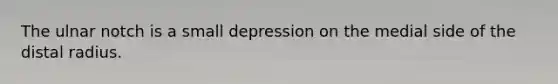 The ulnar notch is a small depression on the medial side of the distal radius.