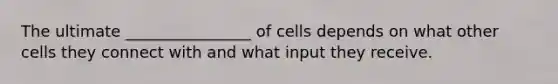 The ultimate ________________ of cells depends on what other cells they connect with and what input they receive.