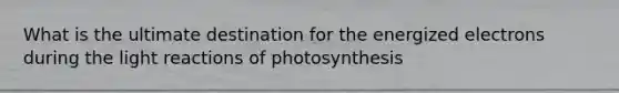 What is the ultimate destination for the energized electrons during the light reactions of photosynthesis