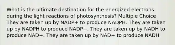 What is the ultimate destination for the energized electrons during the light reactions of photosynthesis? Multiple Choice They are taken up by NADP+ to produce NADPH. They are taken up by NADPH to produce NADP+. They are taken up by NADH to produce NAD+. They are taken up by NAD+ to produce NADH.