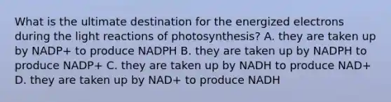 What is the ultimate destination for the energized electrons during the light reactions of photosynthesis? A. they are taken up by NADP+ to produce NADPH B. they are taken up by NADPH to produce NADP+ C. they are taken up by NADH to produce NAD+ D. they are taken up by NAD+ to produce NADH