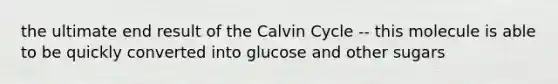 the ultimate end result of the Calvin Cycle -- this molecule is able to be quickly converted into glucose and other sugars