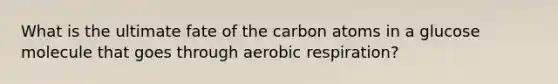 What is the ultimate fate of the carbon atoms in a glucose molecule that goes through aerobic respiration?