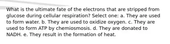 What is the ultimate fate of the electrons that are stripped from glucose during <a href='https://www.questionai.com/knowledge/k1IqNYBAJw-cellular-respiration' class='anchor-knowledge'>cellular respiration</a>? Select one: a. They are used to form water. b. They are used to oxidize oxygen. c. They are used to form ATP by chemiosmosis. d. They are donated to NADH. e. They result in the formation of heat.