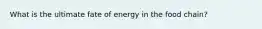 What is the ultimate fate of energy in the food chain?