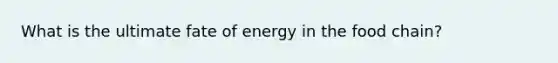 What is the ultimate fate of energy in the food chain?