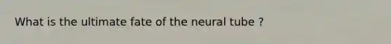 What is the ultimate fate of the neural tube ?