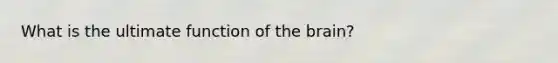 What is the ultimate function of the brain?