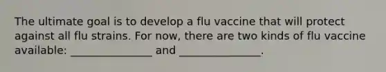 The ultimate goal is to develop a flu vaccine that will protect against all flu strains. For now, there are two kinds of flu vaccine available: _______________ and _______________.