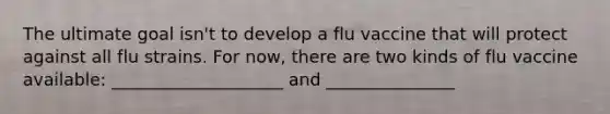 The ultimate goal isn't to develop a flu vaccine that will protect against all flu strains. For now, there are two kinds of flu vaccine available: ____________________ and _______________