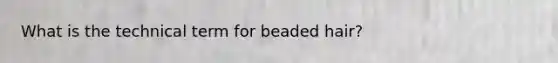 What is the technical term for beaded hair?