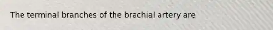 The terminal branches of the brachial artery are