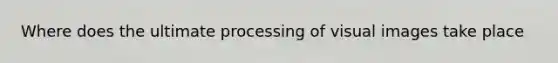 Where does the ultimate processing of visual images take place