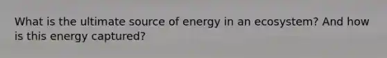 What is the ultimate source of energy in an ecosystem? And how is this energy captured?