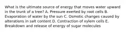 What is the ultimate source of energy that moves water upward in the trunk of a tree? A. Pressure exerted by root cells B. Evaporation of water by the sun C. Osmotic changes caused by alterations in salt content D. Contraction of xylem cells E. Breakdown and release of energy of sugar molecules