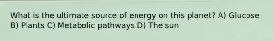 What is the ultimate source of energy on this planet? A) Glucose B) Plants C) Metabolic pathways D) The sun