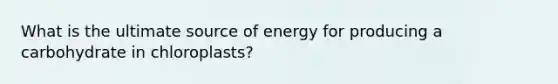 What is the ultimate source of energy for producing a carbohydrate in chloroplasts?