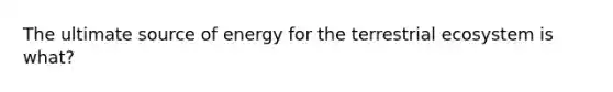 The ultimate source of energy for the terrestrial ecosystem is what?