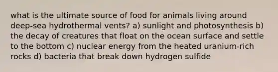 what is the ultimate source of food for animals living around deep-sea hydrothermal vents? a) sunlight and photosynthesis b) the decay of creatures that float on the ocean surface and settle to the bottom c) nuclear energy from the heated uranium-rich rocks d) bacteria that break down hydrogen sulfide