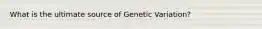 What is the ultimate source of Genetic Variation?