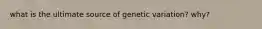 what is the ultimate source of genetic variation? why?