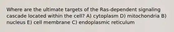 Where are the ultimate targets of the Ras-dependent signaling cascade located within the cell? A) cytoplasm D) mitochondria B) nucleus E) cell membrane C) endoplasmic reticulum