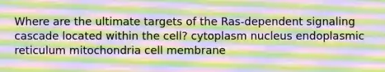 Where are the ultimate targets of the Ras-dependent signaling cascade located within the cell? cytoplasm nucleus endoplasmic reticulum mitochondria cell membrane