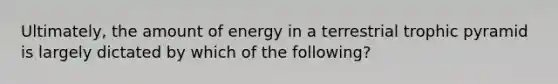 Ultimately, the amount of energy in a terrestrial trophic pyramid is largely dictated by which of the following?